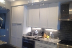 Remodeling CA Santa Ana Kitchen